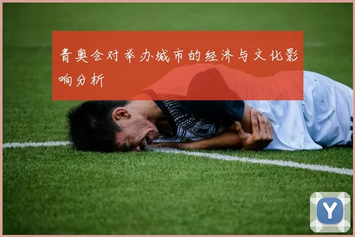 青奥会对举办城市的经济与文化影响分析