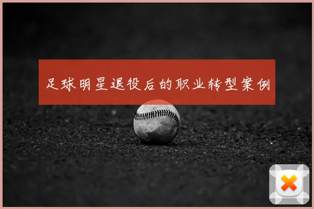足球明星退役后的职业转型案例