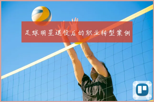 足球明星退役后的职业转型案例