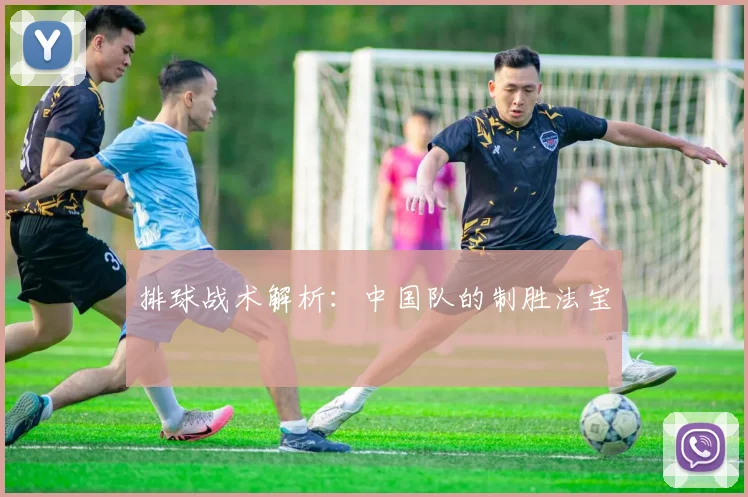 排球战术解析：中国队的制胜法宝
